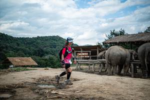 BIB: 
                            <button type="button" onclick="openModal(22424125)" class="btn btn-primary btn-sm float-right btn-popup" data-toggle="modal" data-target=".modal-high-quality">
                        <i class="fas fa-shopping-cart"></i> Add to Cart
                    </button>
                                            <button type="button" onclick="isThisMe(22424125, true)" class="btn btn-success btn-sm float-right btn-popup btn-isme hidden" data-toggle="tooltip" data-placement="bottom" title="นี่คือรูปของคุณใช่ไหม คลิกที่นี่เพื่อเอาเข้าอัลบั้ม">
                        <i class="fas fa-plus"></i> Add to album
                    </button>
                    <button type="button" onclick="isThisMe(22424125, false)" class="btn btn-warning btn-sm float-right btn-popup btn-isnotme hidden">
                        <i class="fas fa-ban"></i> Remove from album
                    </button>